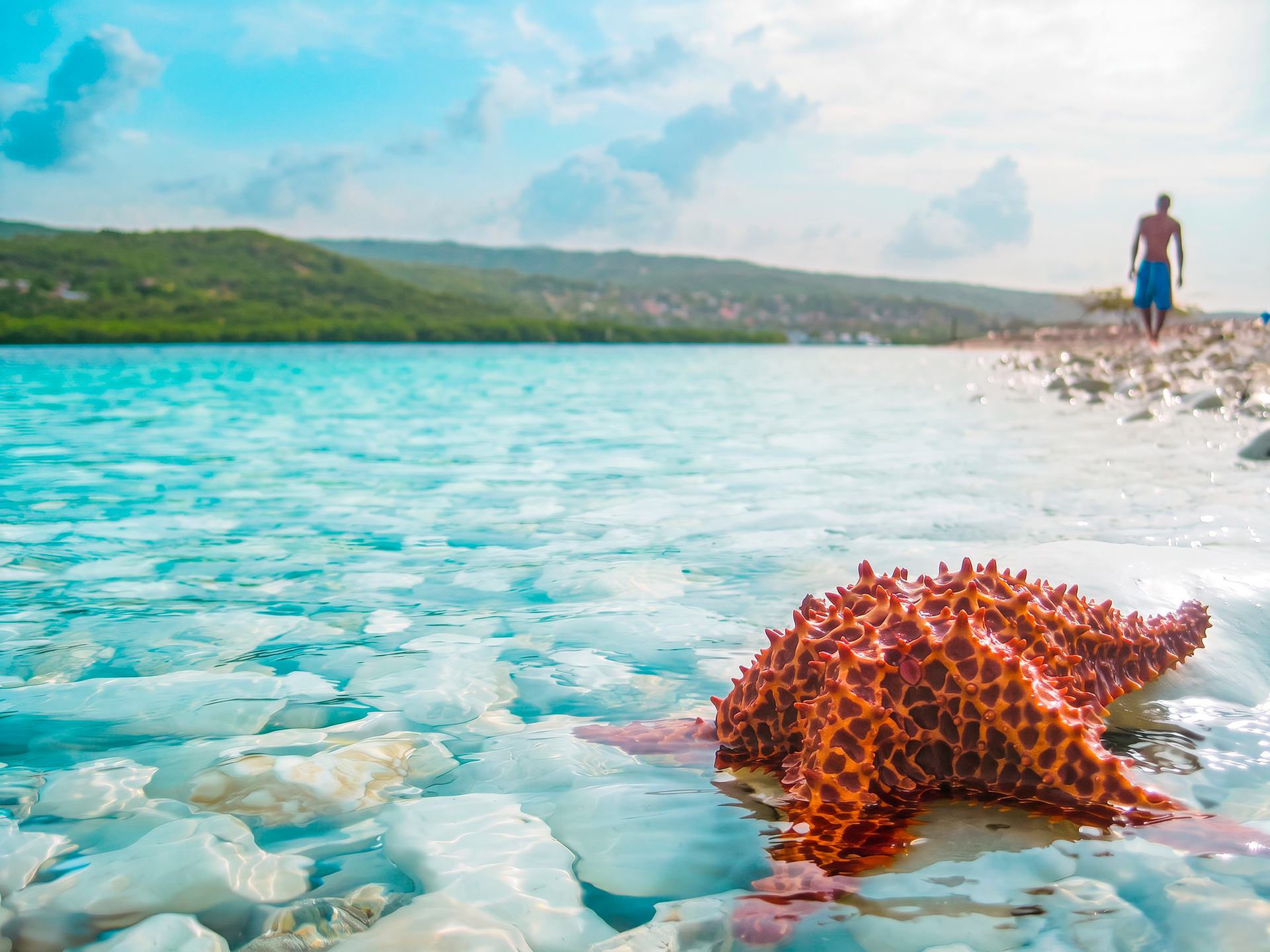 A starfish in the shallows on the shore of La Gonave, Haiti, with someone walking the shoreline beyond